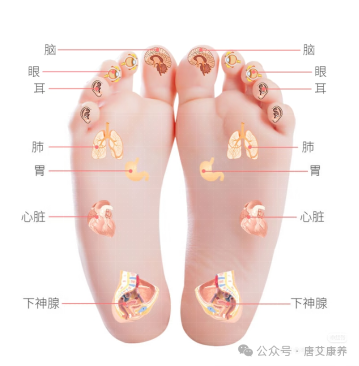 艾草泡脚 | 冬天双脚暖，全身都舒坦