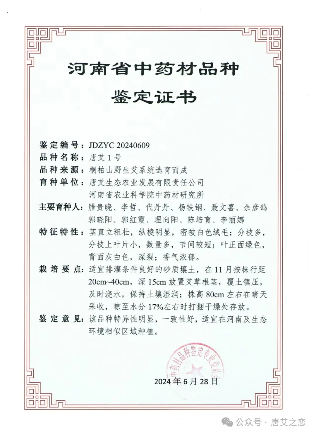 喜报！唐艾公司的艾草新品种“唐艾Ⅰ号”通过鉴定，喜获2024年河南省中药材新品种鉴定证书！