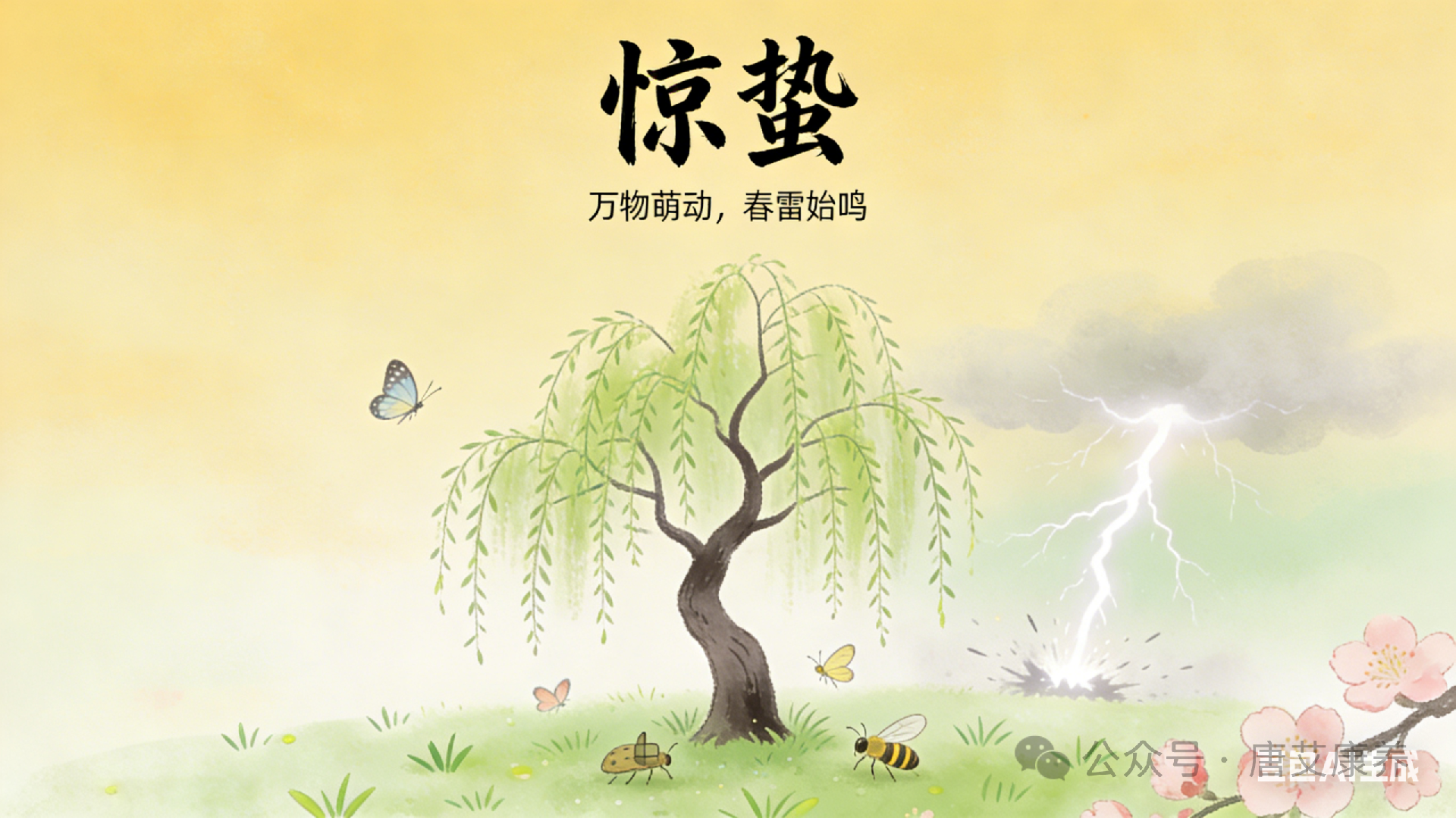 惊蛰 | 阳气生发 疏肝健脾