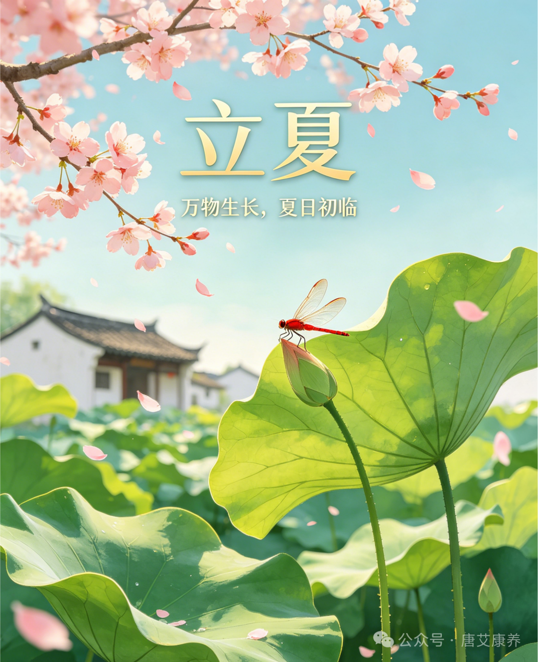立夏 | 春夏气交，顺时养心