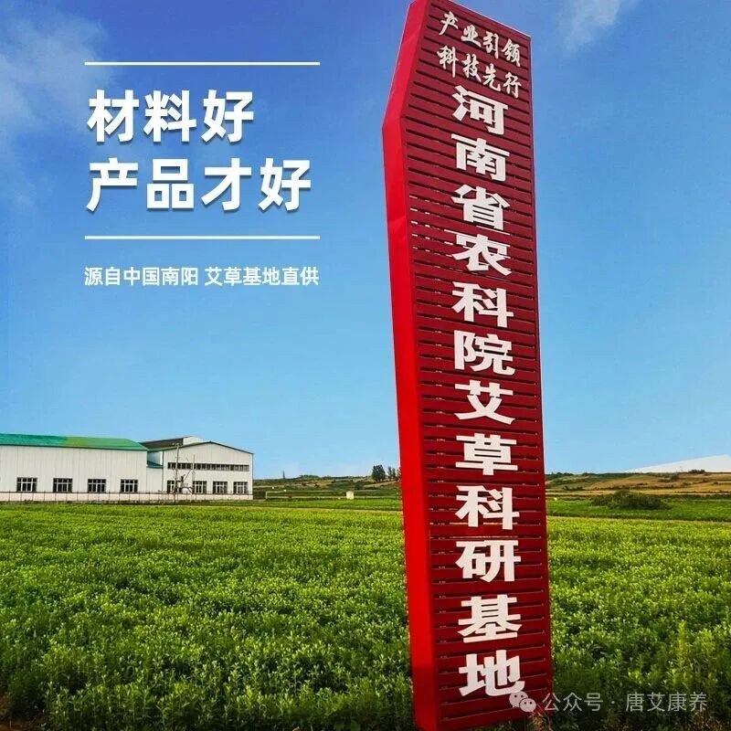 热烈祝贺河南省农科院中药材研究所在艾草种质创新研究方面取得重要进展